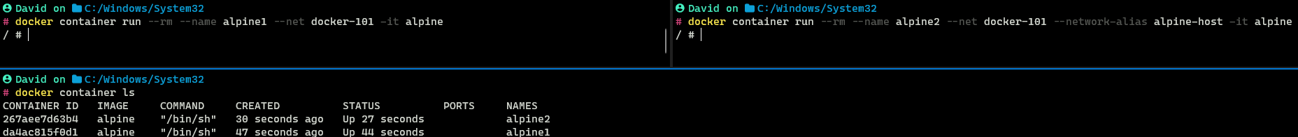 Running two Docker Containers